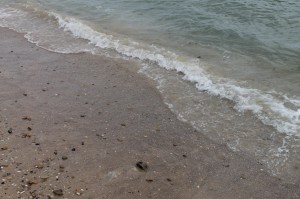 2016080113453404460